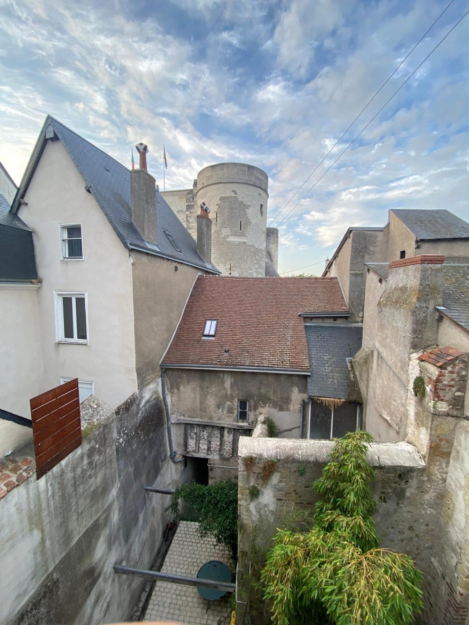 La Maison De L'Elephant Perche Amboise Extérieur photo